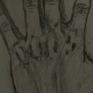 Meet your Posher, Molly